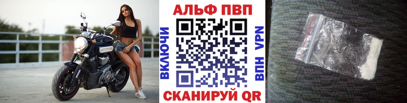 мориарти телеграм  Мглин  A PVP мука 