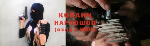 ПСИЛОЦИБИНОВЫЕ ГРИБЫ Магас