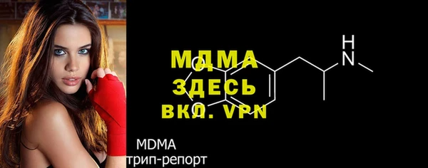 ПСИЛОЦИБИНОВЫЕ ГРИБЫ Магас