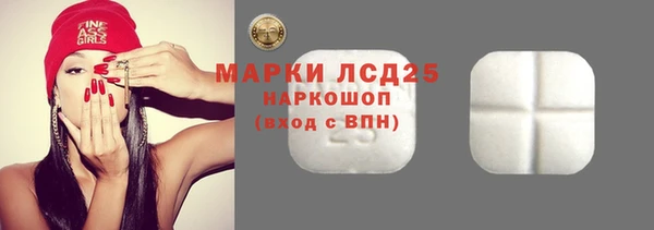 ПСИЛОЦИБИНОВЫЕ ГРИБЫ Магас