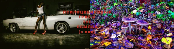 ПСИЛОЦИБИНОВЫЕ ГРИБЫ Магас