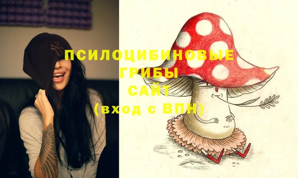 дурь Грязи