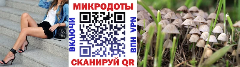 Галлюциногенные грибы GOLDEN TEACHER  цены   Мглин 